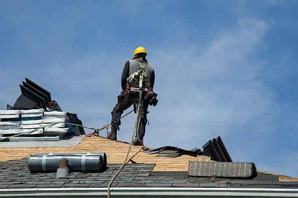 Professional Storm Damage Roof Repair technician working in Utica, MI